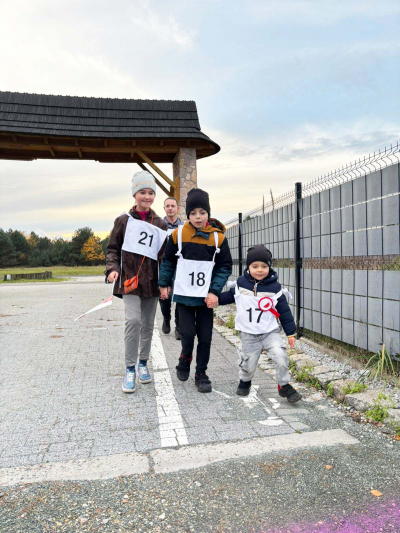 Marsz niepodleglosci (2)